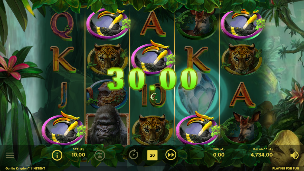 Gorilla Kingdom Win