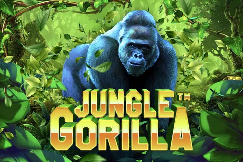 Jungle gorilla 