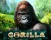 Gorilla & Monkey Slots